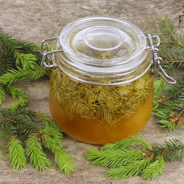 smrekov&yacute; sirup, Smrekov&yacute; sirup z mlad&yacute;ch v&yacute;honkov